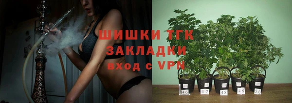PSILOCYBIN Аркадак