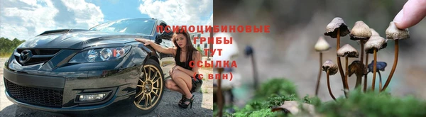 мяу мяу мука Орехово-Зуево