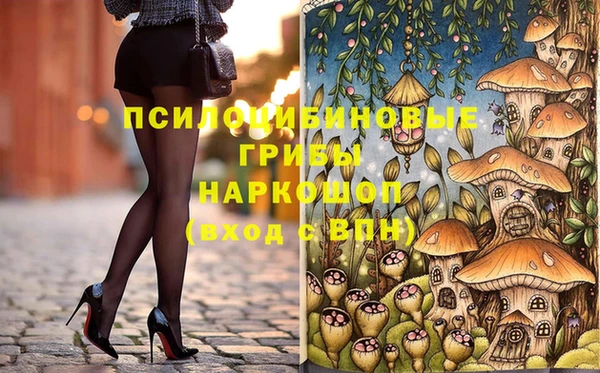 МДПВ Арсеньев