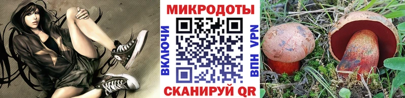 Галлюциногенные грибы Psilocybine cubensis Балабаново