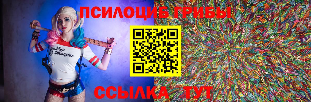 Псилоцибиновые грибы прущие грибы  Вход с VPN  Балабаново 